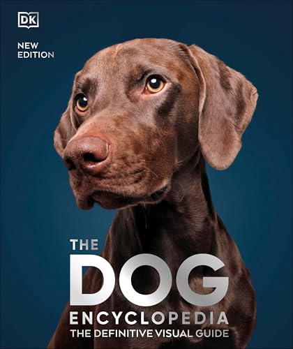 Best Dog Breeds for Older Adults