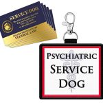 Best Dog Breeds for Psychiatric Service Dogs