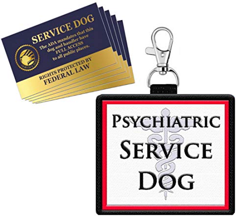 Best Dog Breeds for Psychiatric Service Dogs