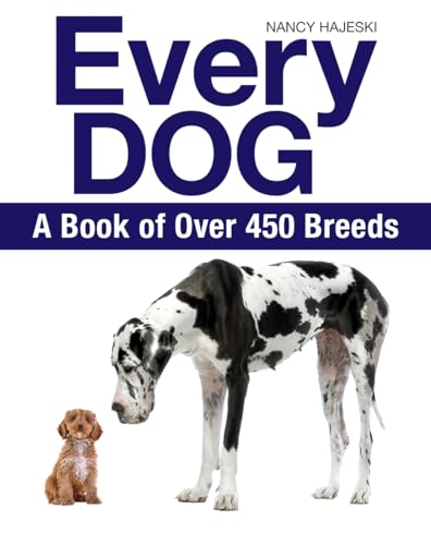 Best Dog Breeds for Running