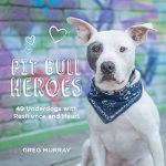 Best Dog Breeds for Single Guys