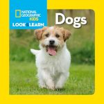 Best Dog Breeds for Toddlers