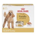 Best Dog Breeds Mixed With Poodle