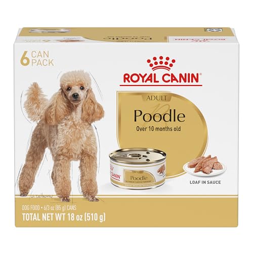 Best Dog Breeds Mixed With Poodle