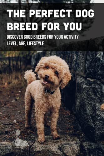 Best Dog Breeds to Be Left Alone