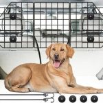 Best Dog Cage for Car