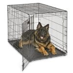 Best Dog Cage for German Shepherd