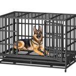 Best Dog Cages for Pitbulls