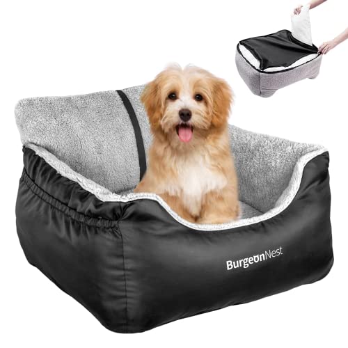 Best Dog Car Seat for Small Dogs
