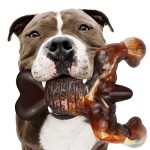 Best Dog Chew Toys for Pit Bulls