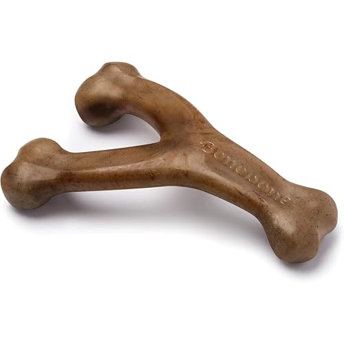 Best Dog Chew Toys for Small Dogs