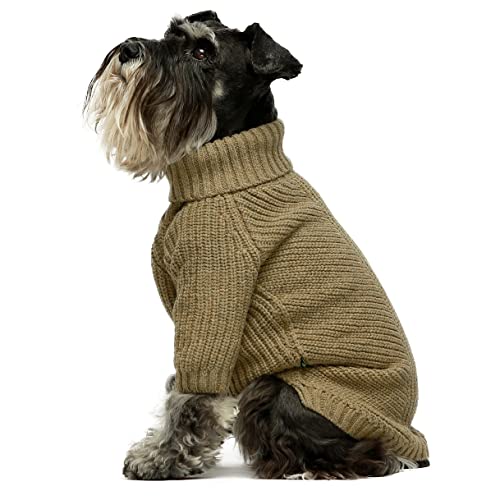 Best Dog Clothes for Winter