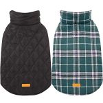 Best Dog Coat for Cold Weather