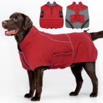 Best Dog Coats for Golden Retrievers