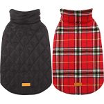 Best Dog Coats for Large Dogs
