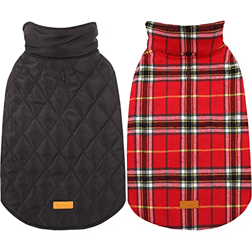 Best Dog Coats for Large Dogs