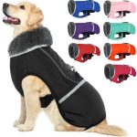 Best Dog Coats for Snow