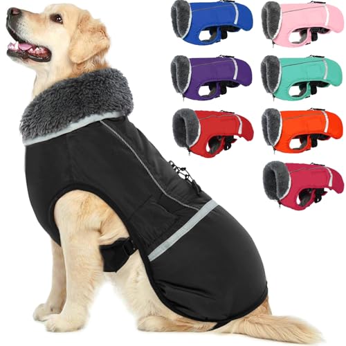 Best Dog Coats for Snow