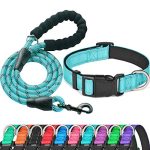 Best Dog Collar And Leash Sets