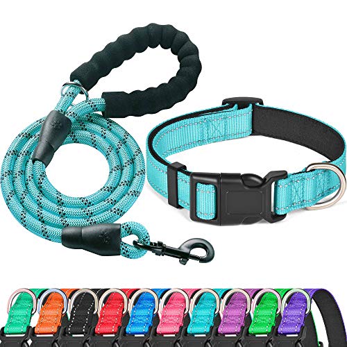 Best Dog Collar And Leash Sets