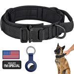 Best Dog Collar With Handle