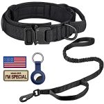 Best Dog Collars And Leashes for Training