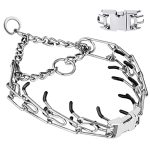 Best Dog Collars for Dogs That Pull