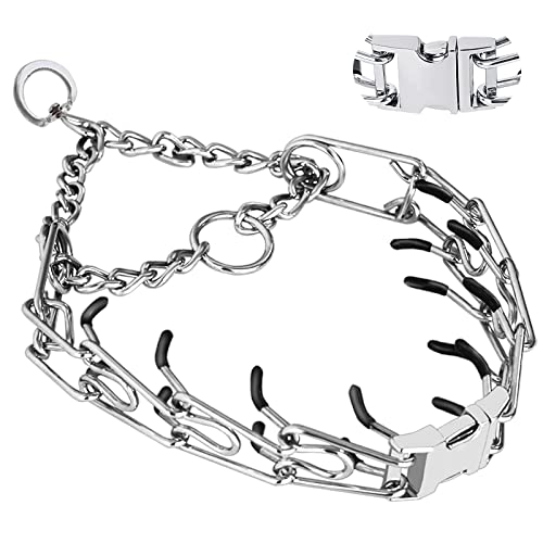 Best Dog Collars for Dogs That Pull