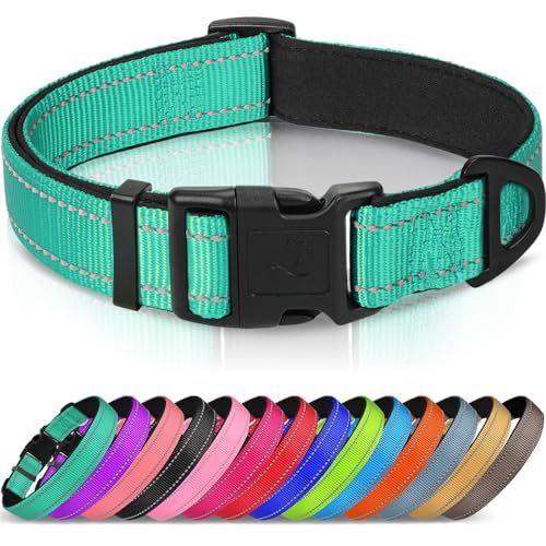 Best Dog Collars for Large Dogs