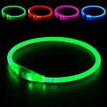 Best Dog Collars for Night Time