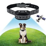 Best Dog Collars to Keep Them in the Yard