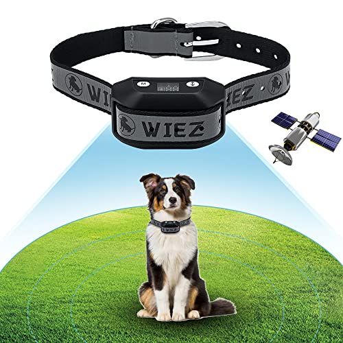 Best Dog Collars to Keep Them in the Yard