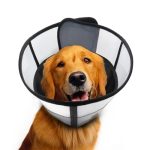 Best Dog Cone for Eye Surgery