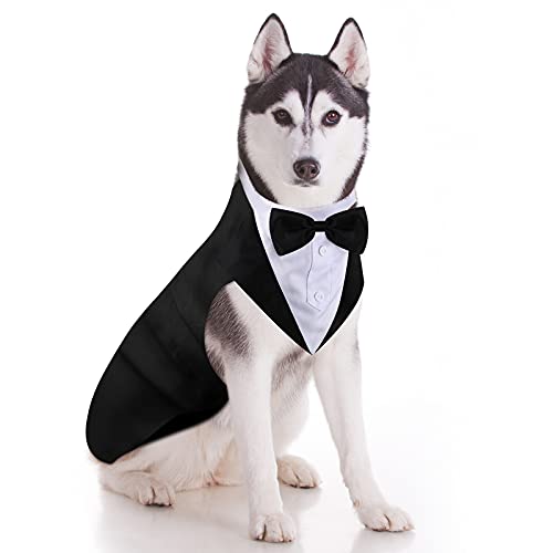 Best Dog Costume for Husky