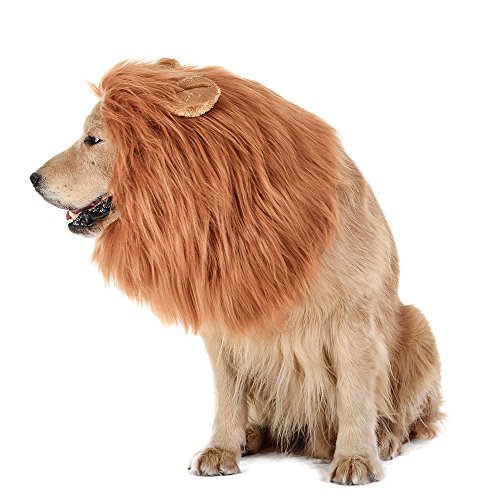 Best Dog Costumes for Golden Retrievers