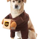 Best Dog Costumes for Large Dogs