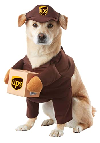 Best Dog Costumes for Large Dogs