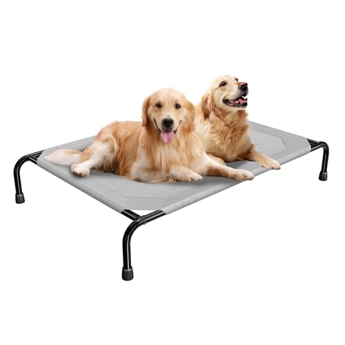 Best Dog Cot for Large Dogs