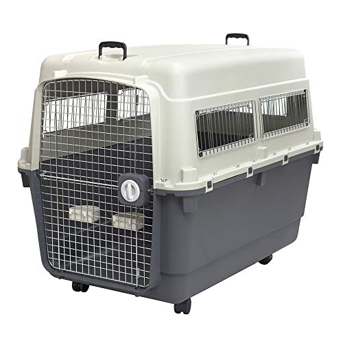 Best Dog Crate for Flying