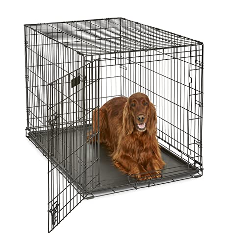 Best Dog Crate for Husky