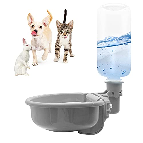 Best Dog Crate Water Dispenser
