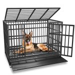 Best Dog Crates for Anxious Dogs