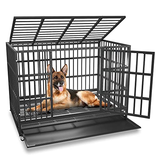 Best Dog Crates for Anxious Dogs