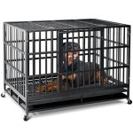 Best Dog Crates for High Anxiety Dogs