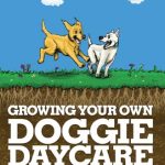 Best Dog Daycare Northern Virginia
