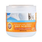 Best Dog Deodorizer for Home