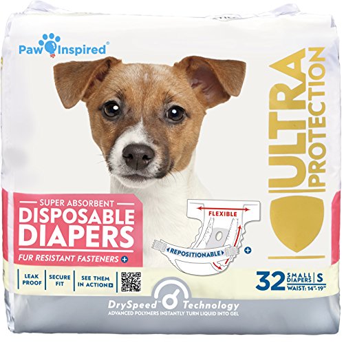 Best Dog Diapers for Females