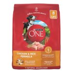 Best Dog Food at Dollar General