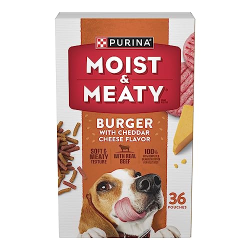 Best Dog Food at Sam'S Club