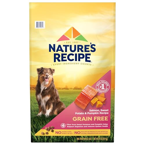 Best Dog Food Brands for Allergies